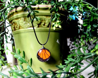 Monarch Butterfly Wing Pendant, Real Butterfly Jewelry, Orange Butterfly