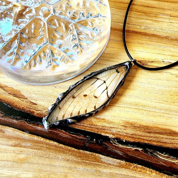 Real Cicada Wing Pendant, Nature Jewelry, Cicada Wing Necklace