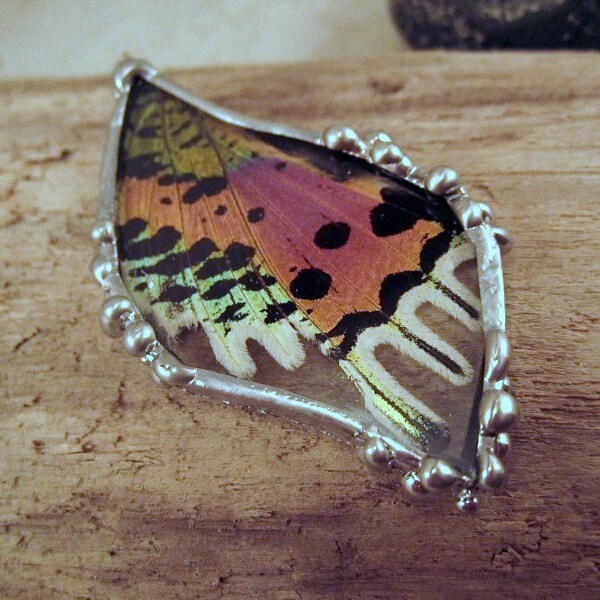 Real Butterfly Wing Jewelry - Pendant - Madagascan Sunset Moth