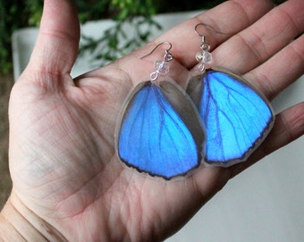 Blue Butterfly Wing Earrings, Blue Wing Earrings,  Nature Earrings, Morpho Menelaus