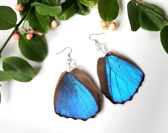 Blue Morpho Butterfly Earrings with Clear Faceted Crystal beads