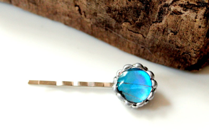 Blue Butterfly Hair Pin Hair Accessories Real Butterfly Etsy