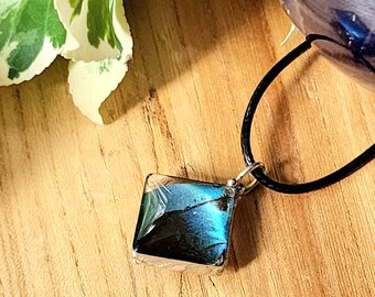 Black Swallowtail Butterfly Wing Necklace, Square Pendant, Real Butterfly Jewelry