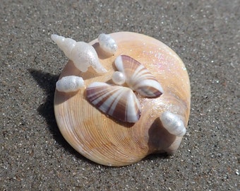 Butterfly Coquina Clam Shell and Pearl OOAK Hair Clip | Mermaid Costume Boho Summer Beach Wedding Accessory