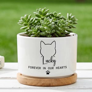 May include: A white ceramic cylindrical planter containing a green succulent plant. The planter features a black line drawing of a cat head, the name Lucky, the text FOREVER IN OUR HEARTS, and a small paw print. It sits on a round wooden base.