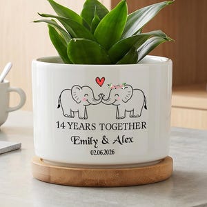 Wife Anniversary Gift, 14 Years Together Personalized Ceramic Plant Pot, Couple Succulent Planter, Romantic Wedding Gift