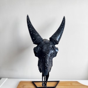 Carved goat skull - REAL hand carved goat skull with horn carving.