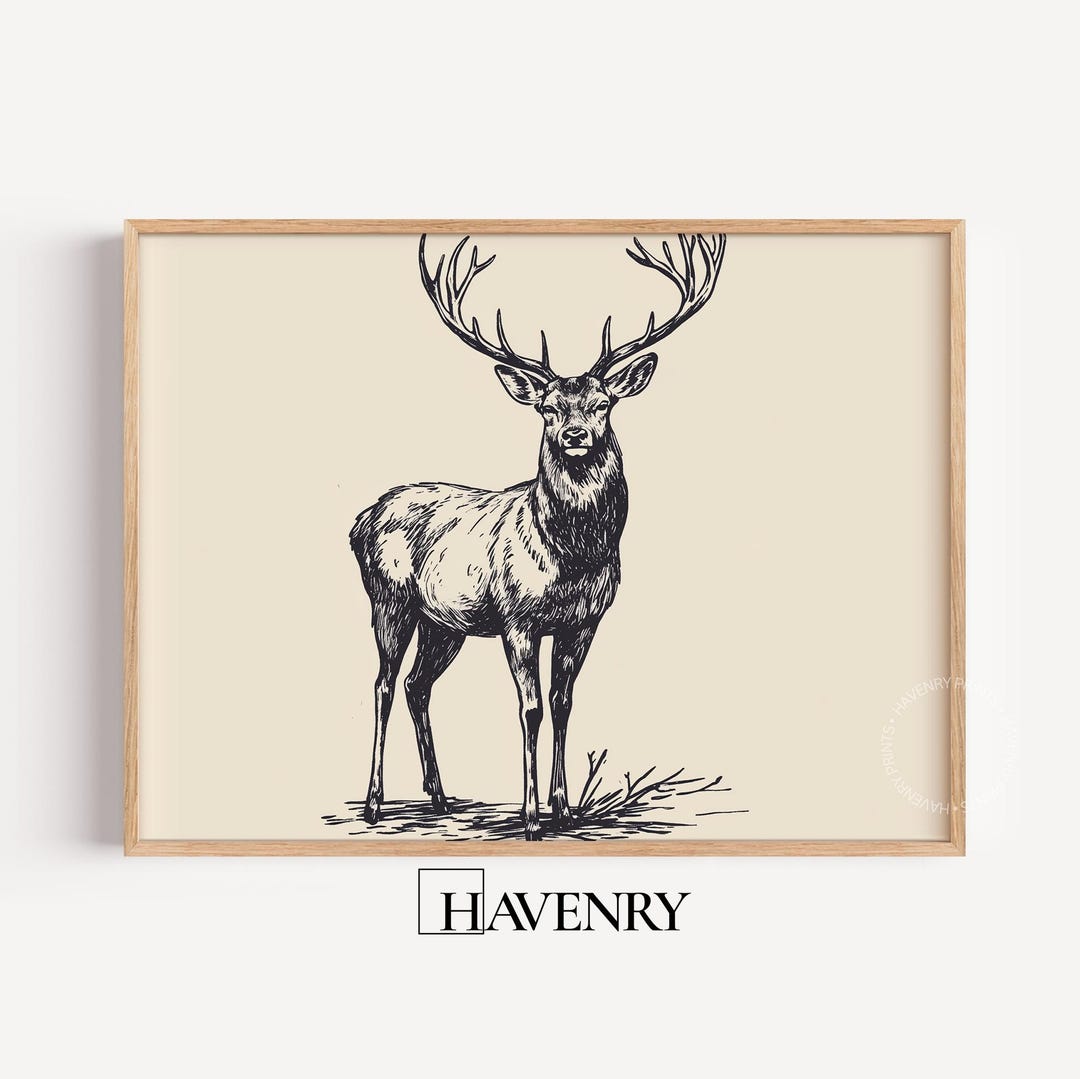 Rustic Deer Stag Illustration - Vintage Woodland Printable Wall Art ...