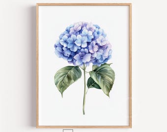 Botanical Hydrangea Watercolor Illustration, Vintage Floral Wall Art (Digital Download) 536