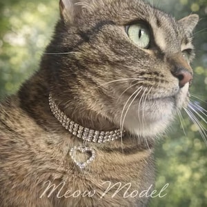 May include: A close-up of a tabby cat wearing a sparkling rhinestone collar with a heart pendant. The cat has green eyes and long whiskers. The text "Meow Model" is at the bottom of the image.