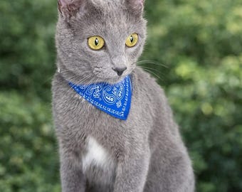MeowModel Rotes Bandana Katzenhalsband - Verstellbare Kätzchen-Neckwear - Stilvolles Tierzubehör