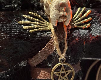 Op de afbeelding: Een gotisch decoratief stuk met een schedel, een bronzen skelet hand en een pentagram hanger. De schedel is gebroken wit en de hanger hangt aan een natuurlijke vezel koord. De achtergrond bevat zwarte kant en veren.