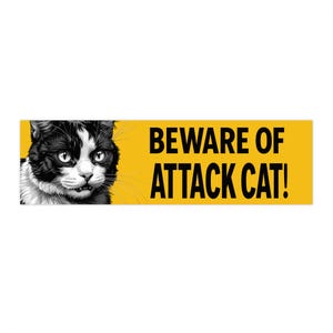 Lustige Katze Auto Aufkleber, Auto Dekor, Haustier Liebhaber Geschenk, Warnschild, humorvolle Wohnkultur