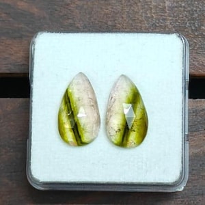 Natural Bi Tourmaline Rosecut Pair Flatback | 10.10 carat  16.00x9.50 mm