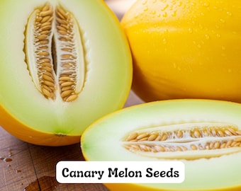 May include: A close-up of a canary melon, with one cut open to reveal the seeds. The melon is bright yellow with a pale green interior. The text "Canary Melon Seeds" is displayed on a white background.