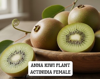 May include: A wooden bowl filled with Anna Kiwi Plant Actinidia Female fruit. Some are whole, with brown skin, and others are sliced, revealing green flesh and black seeds. Green leaves and stems are also present.