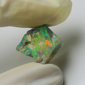 May include: A rough-cut opal gemstone with vibrant colors of green, orange, and yellow. The stone is held between two gloved hands, showcasing its natural, irregular shape and internal play of color. The opal appears to be raw and unpolished.