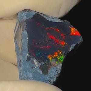 May include: A rough-cut black opal gemstone with vibrant internal fire. The opal displays flashes of red, orange, and green against a dark background. The stone is held by a gloved hand, showcasing its natural, unpolished state.