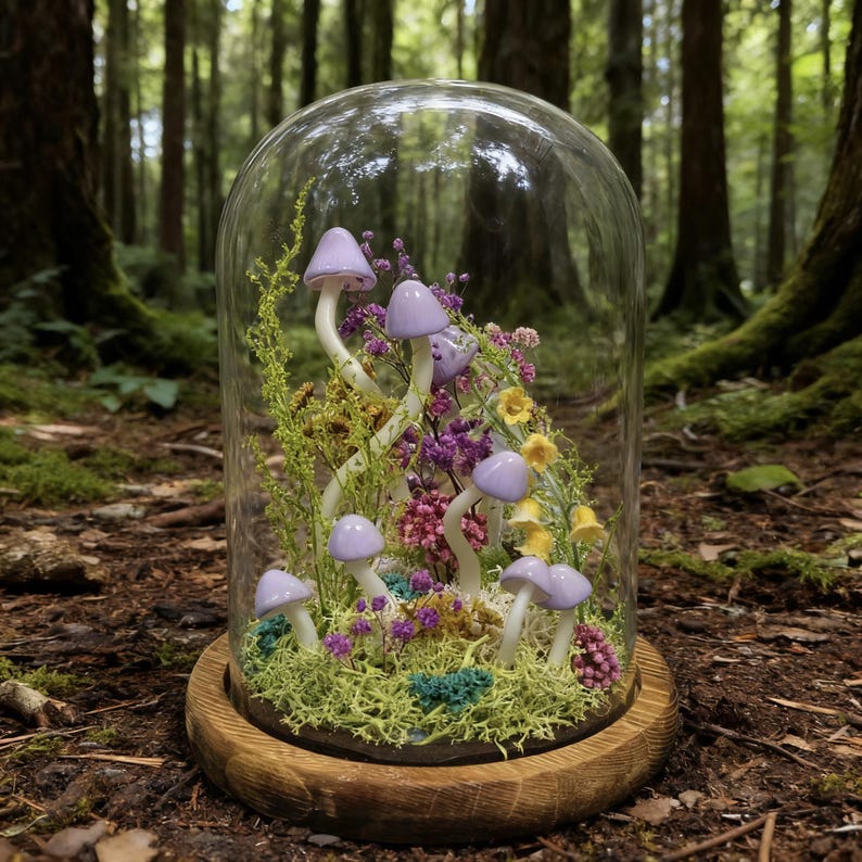 Pu&ograve; includere: Una campana di vetro con base in legno ospita una scena di foresta in miniatura. Sculture di funghi color lavanda sono intervallate da fiori secchi viola, gialli e rosa. La base &egrave; marrone chiaro e lo sfondo &egrave; una foresta verde.