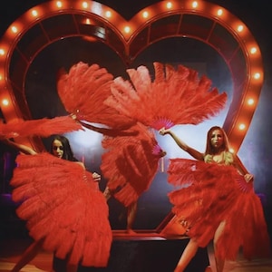 2 Stück Großer 100/130 cm Straußenfeder Fächer