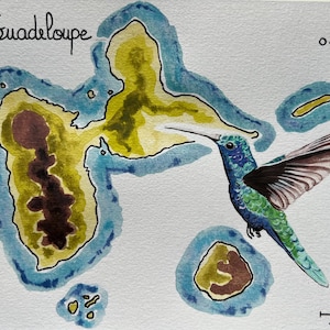 Original Aquarellkarte von Guadeloupe und seinem Kolibri
