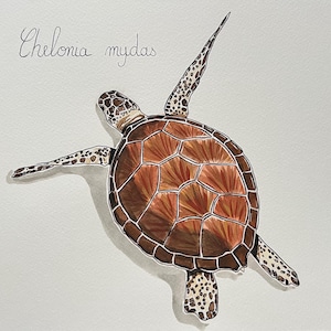 Original Aquarell Meeresschildkröte - Handgemachte Illustration