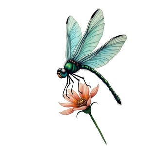 May include: A watercolour illustration of a dragonfly perched on a peach-coloured flower. The dragonfly has light blue wings, a green body, and black legs. The flower has a yellow centre and a green stem.