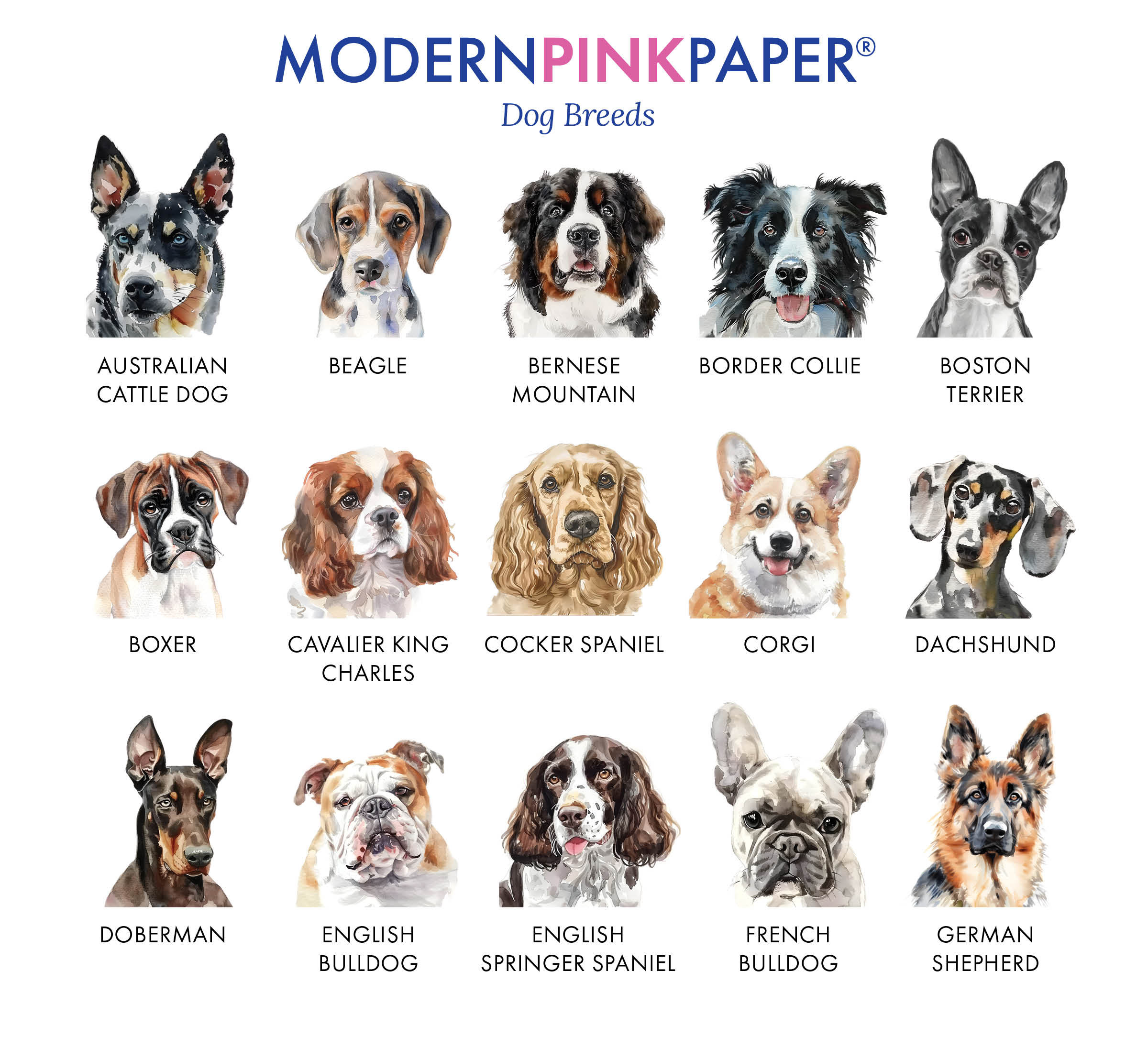 Set 48 Biglietti Di Ringraziamento Con Cani + Buste E Adesivi – 8 Disegni – Cartoncino 300g/m² 10,2x15,2 Cm - 4