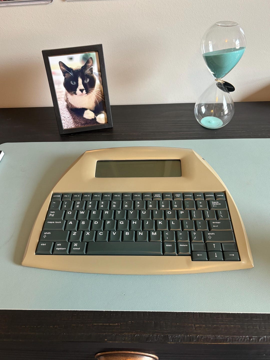 Alphasmart Modifications Custom Painted Alphasmart Neo in Very Good Condition - Etsy
