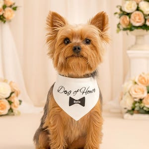 Personalized dog wedding collar dog of honor pet bandanna collar wedding dog accessory dog lover gift for wedding dog wedding accessories