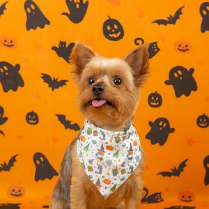Halloween pet bandana collar cute dog scarf sutumn pet accessories adjustable dog dandana gift for pet lovers dog collar seasonal