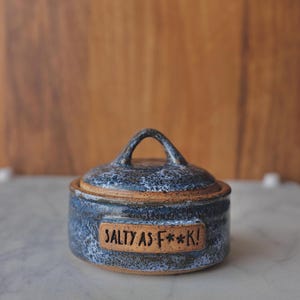 Salt Jar, salty AF ceramic lidded spice container, funny gift for chef