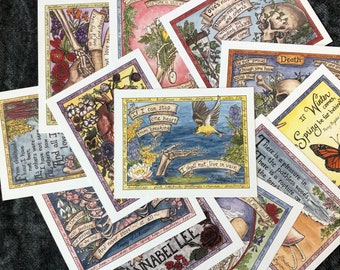 Postcard Set- Blooms and Bones