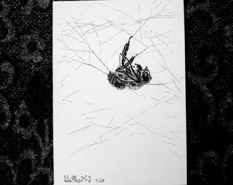 Suspension (of Dis-bee-lief)- Original Ink Art- Bee Art
