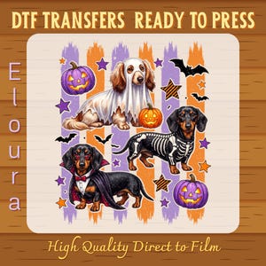 Peut inclure: Une feuille de transfert DTF représentant trois teckels en costumes d'Halloween : un fantôme, un squelette et un vampire. Inclut des citrouilles violettes, des chauves-souris noires et des étoiles orange et violettes sur des rayures verticales.