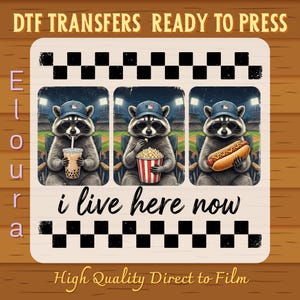 May include: DTF transfer design featuring three raccoons in baseball caps and sunglasses, each holding a different snack: boba tea, popcorn, and a hot dog. The text "i live here now" is below the raccoons. The design also includes the text "DTF TRANSFERS READY TO PRESS" and "High Quality Direct to Film".