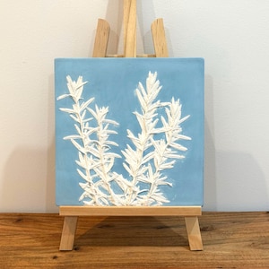 Rosemary in Blue Wedgwood