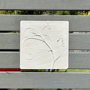 Passionfruit in white herbal bas-relief