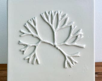 Algae white relief