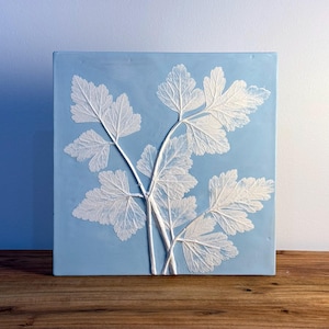 Parsley in Blue Wedgwood