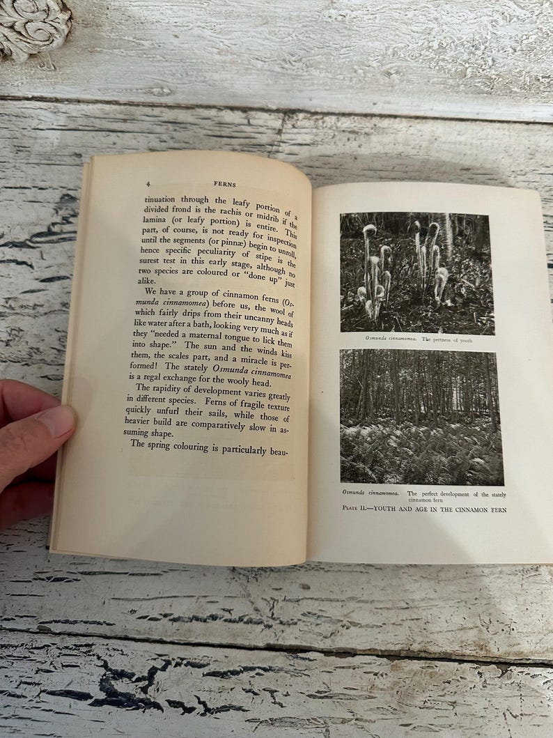 May include: An open book with text and black and white images of ferns. The left page has text about ferns, while the right page has two images of ferns. The book is on a light wood surface.