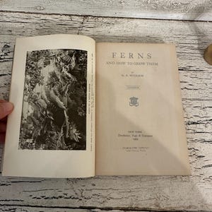 May include: An open book titled "FERNS and how to grow them" by G.A. Woolson. The book is open to a black and white image of ferns. Published in 1905 by Doubleday, Page & Company, New York.