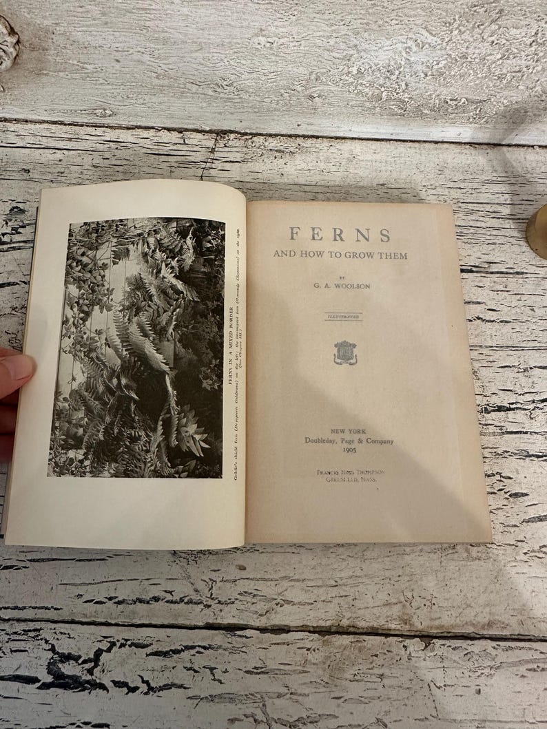 May include: An open book titled "FERNS and how to grow them" by G.A. Woolson. The book is open to a black and white image of ferns. Published in 1905 by Doubleday, Page & Company, New York.
