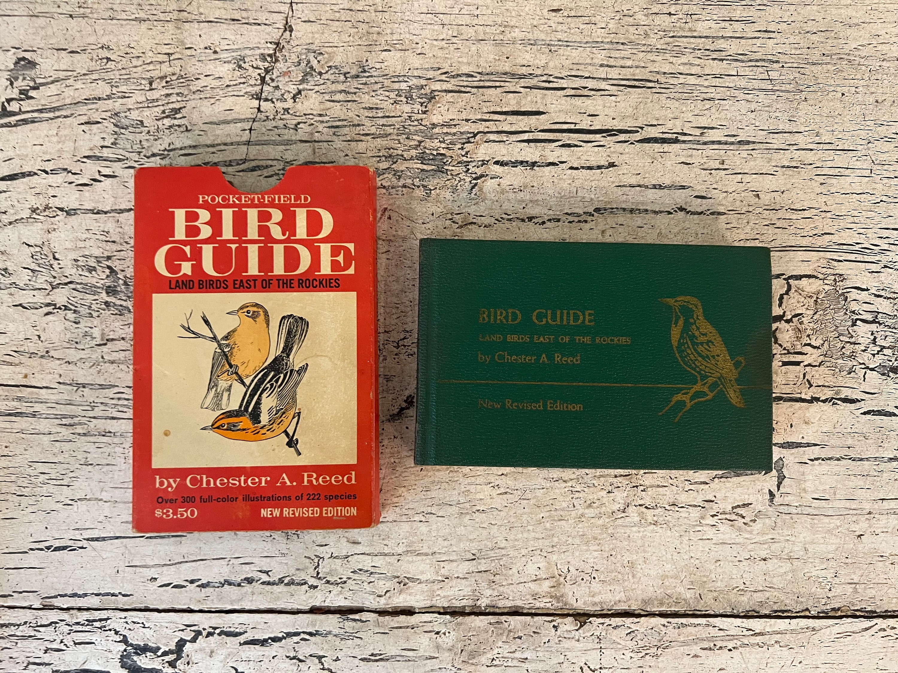 Pocket Bird Guide - Etsy