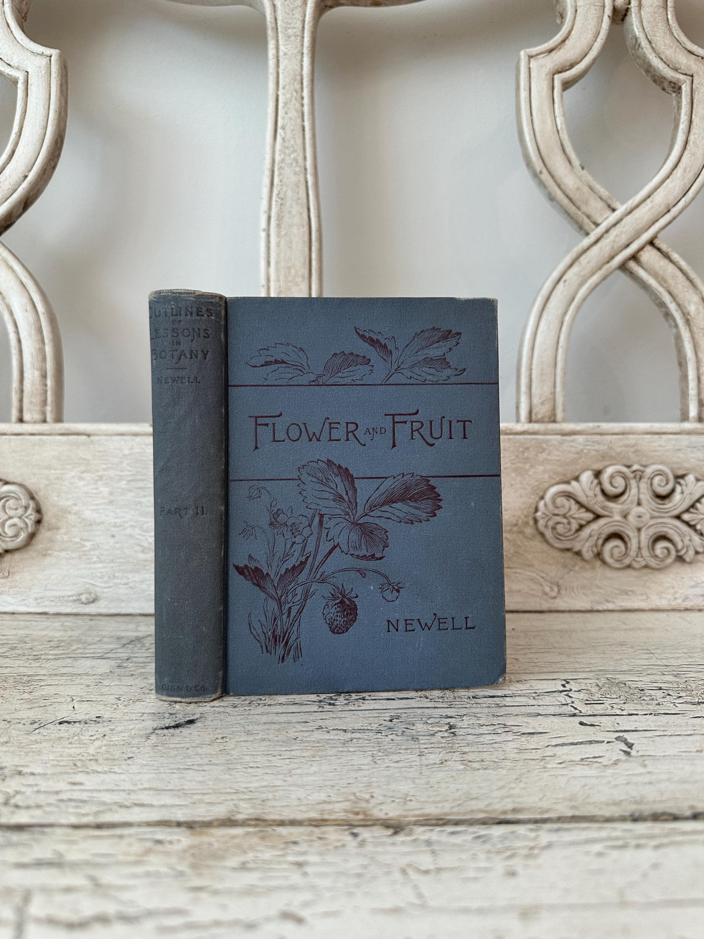 Antique Flower Book - Flower and Fruit: Outlines of Lessons in Botany, 1892 - Lightly Distressed