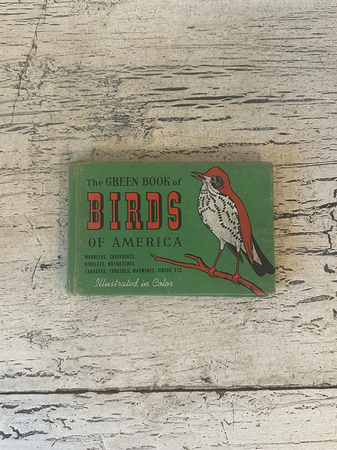 Pocket Bird Book Tattered Small Vintage Pocket Guide Book Etsy