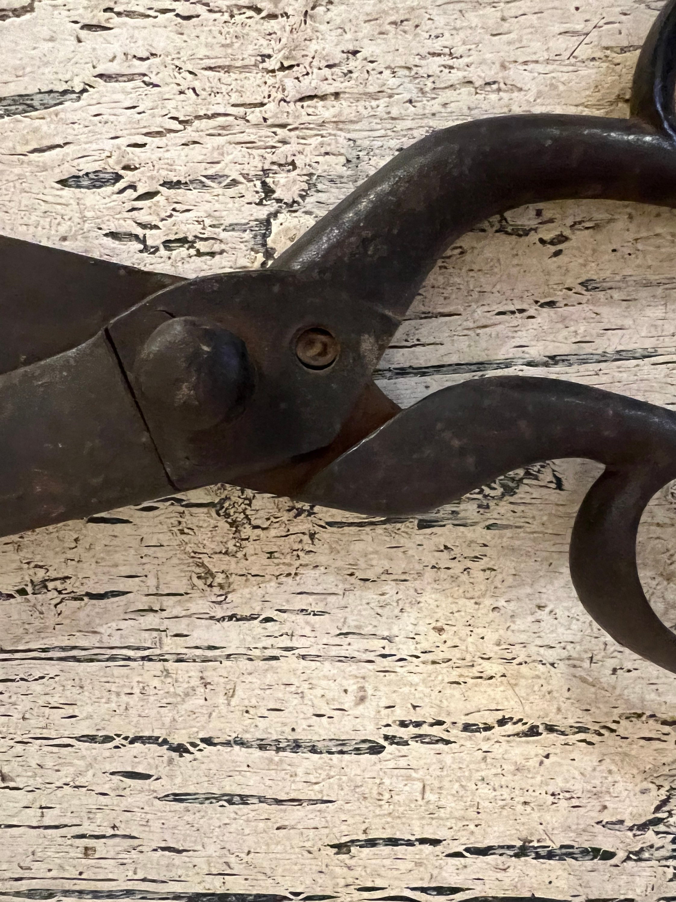 Antique, Cast Iron Shears Thick, Rustic, Industrial Scissors Rusty,  Distressed 