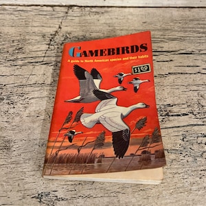 Golden Nature Guide - Pocket Size - Game Birds - 1961