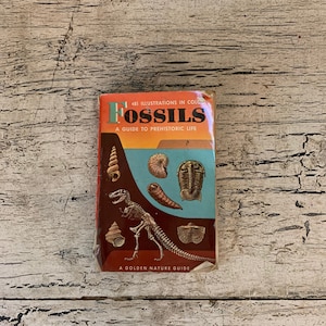 Golden Nature Guide - Pocket Size - Fossils - 1962
