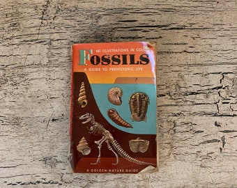 Golden Nature Guide - Pocket Size - Fossils - 1962